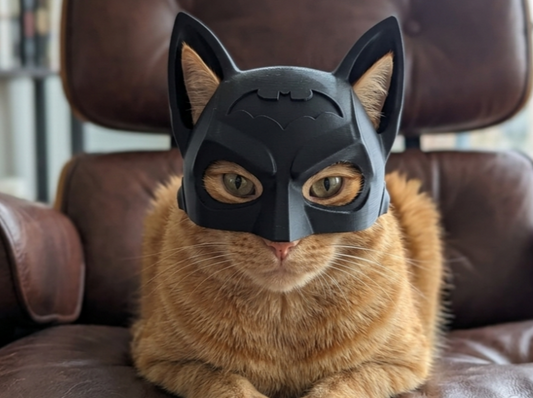 batman cat helmet